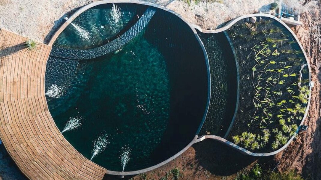 Biopiscina: Cos’è e come realizzarla nel tuo giardino?